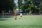 dsc_0229_small.jpg