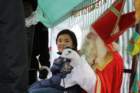 stnikolaas2011131_small.jpg