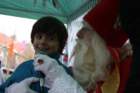 stnikolaas2011135_small.jpg